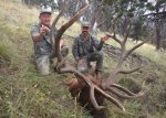 RECORD ELK.jpg