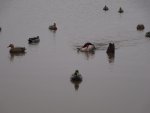 DSC00171.jpg