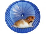 wheel.jpg