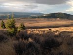IMG_0362.jpg