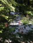 IMG_0206.jpg