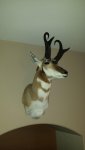 20150225_172022.jpg