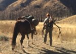 elk1234.jpg