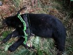 NW LEGENDS BEAR n Xpedition bow.jpg