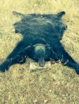 black bear skinned out NW LEGENDS.jpg