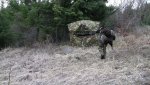 turkey2.jpg