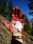 Hole-in-Hand.jpg