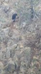 20150325_114347.jpg