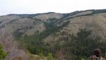 20150404_110557.jpg