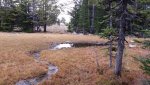 20140930_104033.jpg
