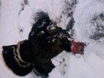 I1429263505.jpg
