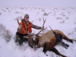 shaybull-20150105-173903213.jpg