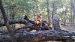 20141026_094637.jpg