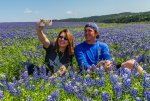 Hill Country Wildflowers-5772-X2.jpg