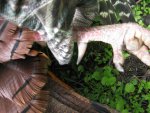 TurkeySP 2015-4.jpg