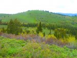 DSCN0874.jpg