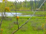 DSCN0881.jpg