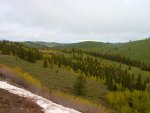 DSCN0878.jpg