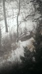 IMAG0812_BURST001.jpg
