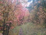 DSCN0553.jpg