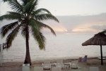 IMG020.jpg