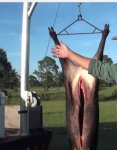 hanging tool2.JPG