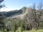 IMG_0118.jpg