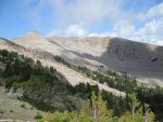 IMG_0122.jpg