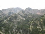 IMG_0133.jpg