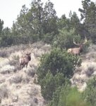 20150807_090742_HDR~2[1].jpg