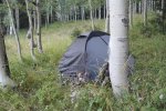 Camp1.jpg