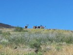 20140629_085601.jpg