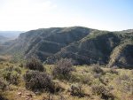 IMG_0887.jpg
