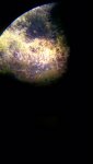 IMG_20150918_114614636.jpg