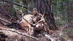 Walters Bull.jpg