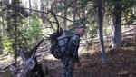 packing Elk.jpg