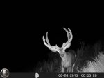 HUNT0167.jpg