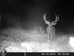 HUNT0230.jpg