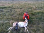 Henry's Buck.jpg