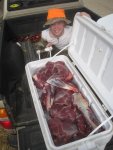 meat.jpg
