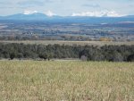 Saturday  10-24.jpg