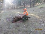 Elk hunt 2015 036.jpg