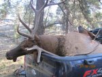 Elk hunt 2015 042.jpg