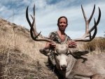 big buck.jpg