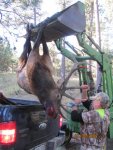 Elk hunt 2015 040.jpg