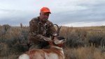 Goat 2 20151025_175058.jpg