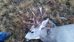 20151002_071410.jpg