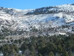 DSCN0349.jpg