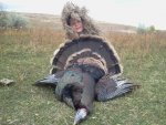 Turkey fall.jpg