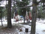 Elk Camp 2014.jpg